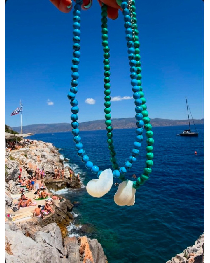 HYDRA SHELLS